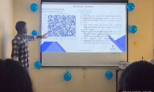 EDA Project Presentation at Siva Academy