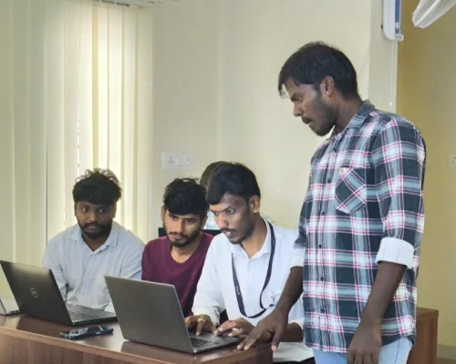 EDA Project Presentation at Siva Academy